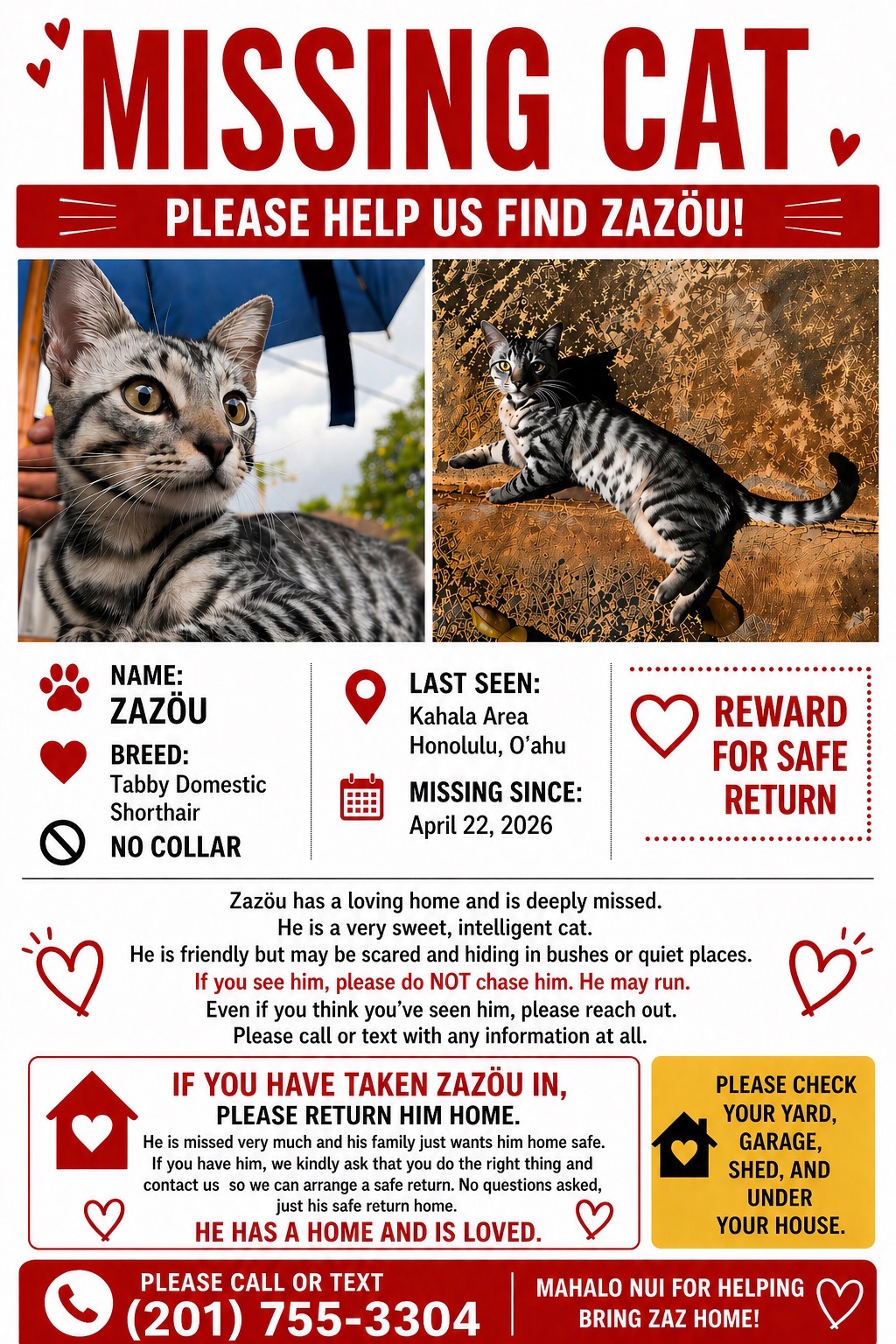 LOST PET - Kahala | Stolen Stuff Hawaii