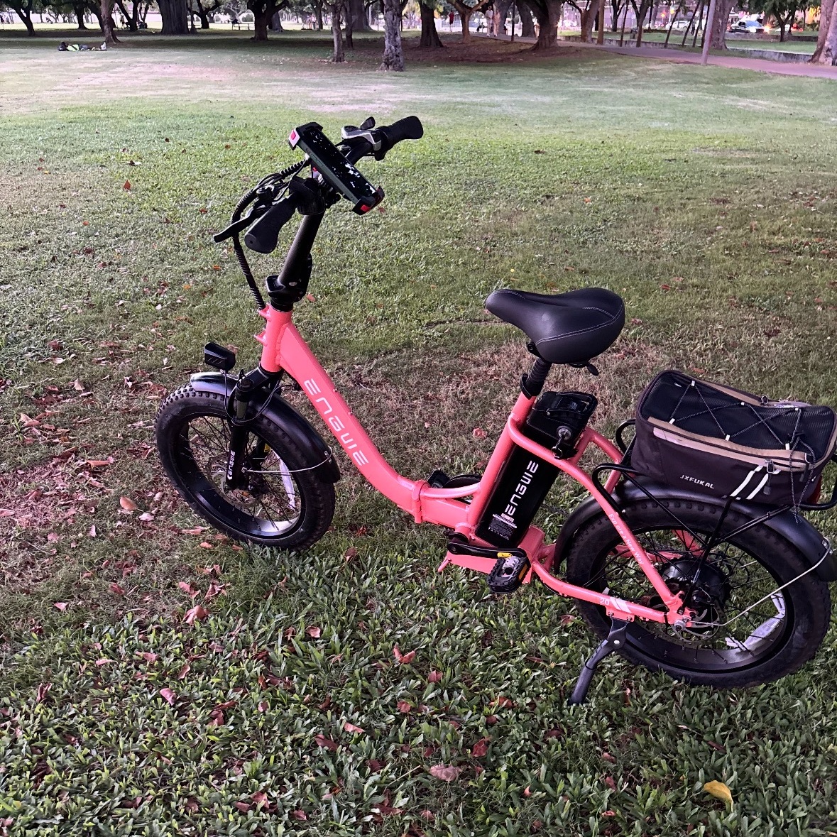 THEFT - Unknown | Stolen Stuff Hawaii
