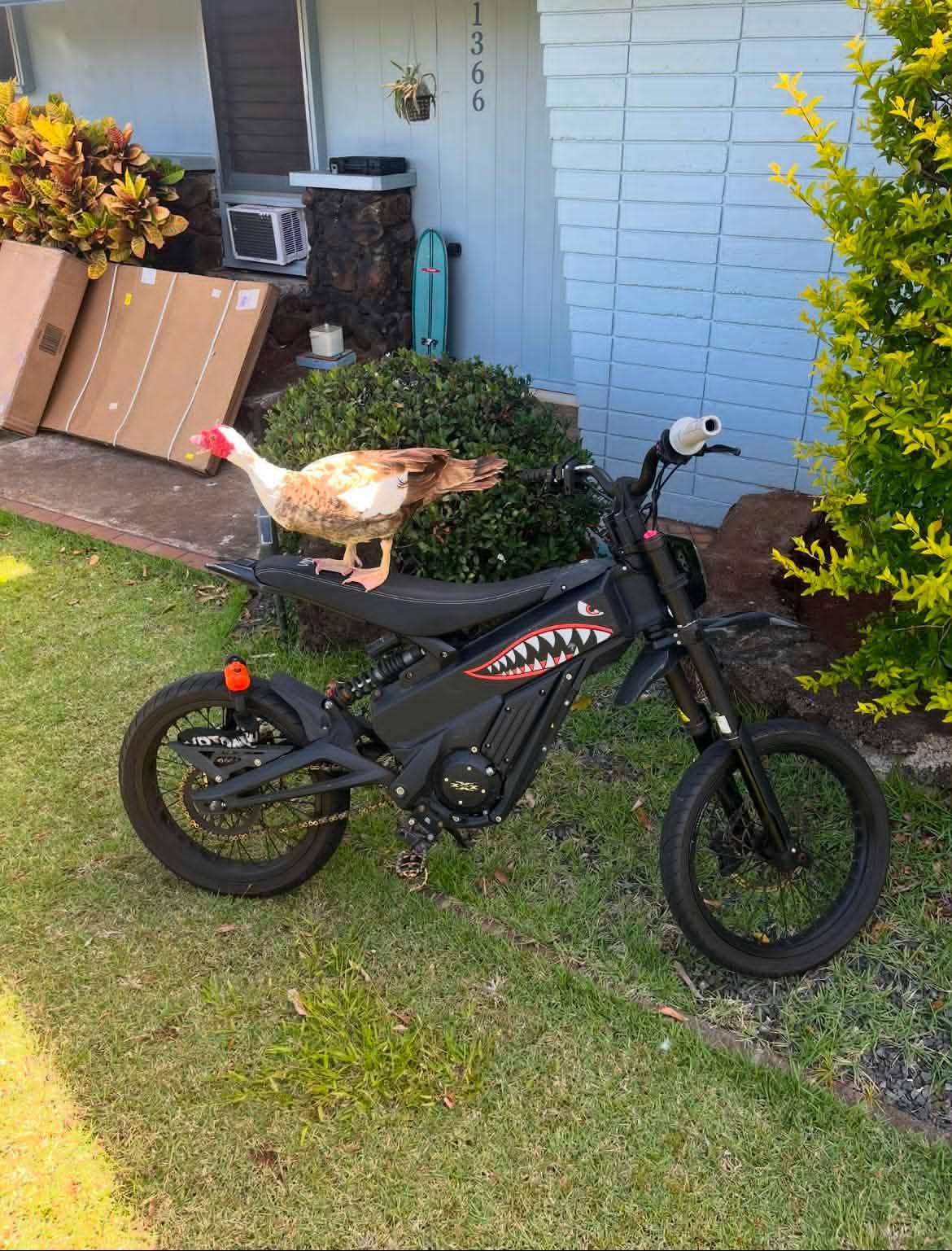 THEFT - Makiki | Stolen Stuff Hawaii