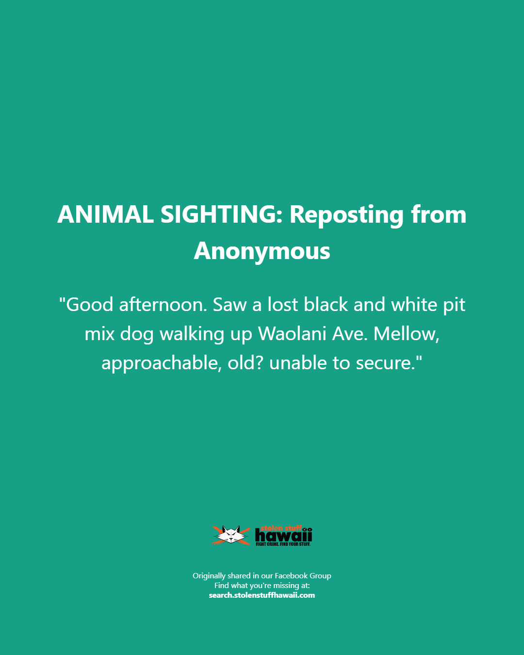 ANIMAL SIGHTING - Unknown | Stolen Stuff Hawaii