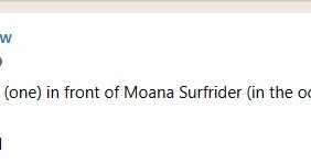 LOST ITEM - Oahu | Stolen Stuff Hawaii