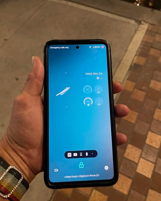 FOUND ITEM - Oahu | Stolen Stuff Hawaii