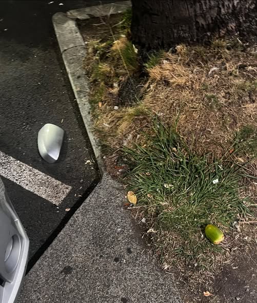 FOUND ITEM - Oahu | Stolen Stuff Hawaii