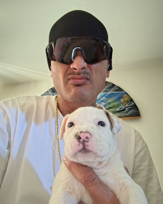 LOST PET - Oahu | Stolen Stuff Hawaii