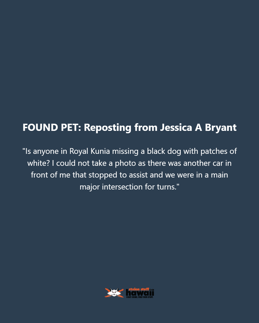 FOUND PET - Oahu | Stolen Stuff Hawaii