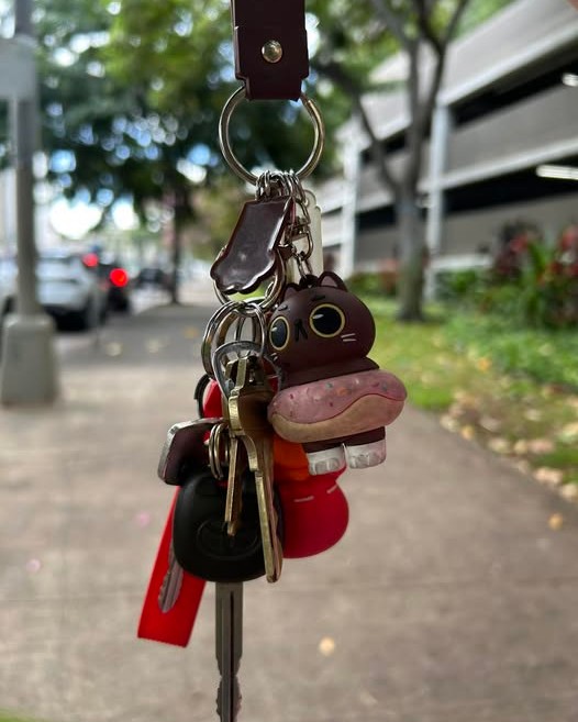 FOUND ITEM - Oahu | Stolen Stuff Hawaii