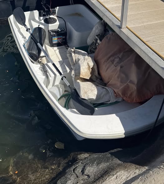LOST ITEM - Oahu | Stolen Stuff Hawaii