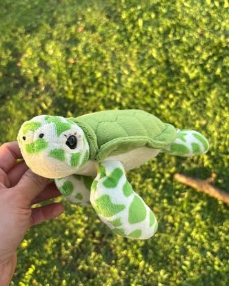 FOUND ITEM - Oahu | Stolen Stuff Hawaii