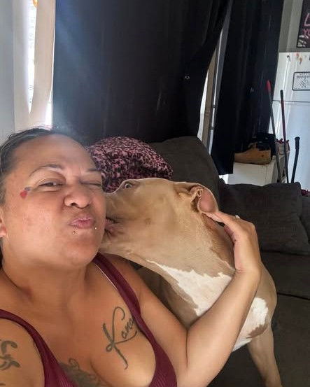 LOST PET - Oahu | Stolen Stuff Hawaii