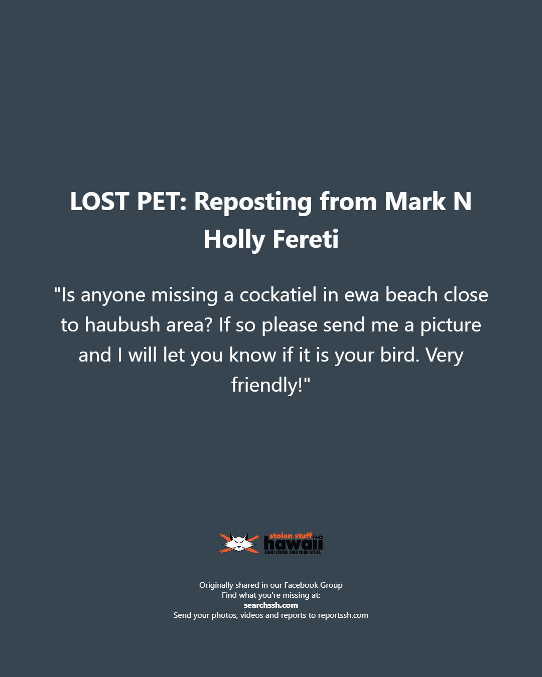 LOST PET - Oahu | Stolen Stuff Hawaii