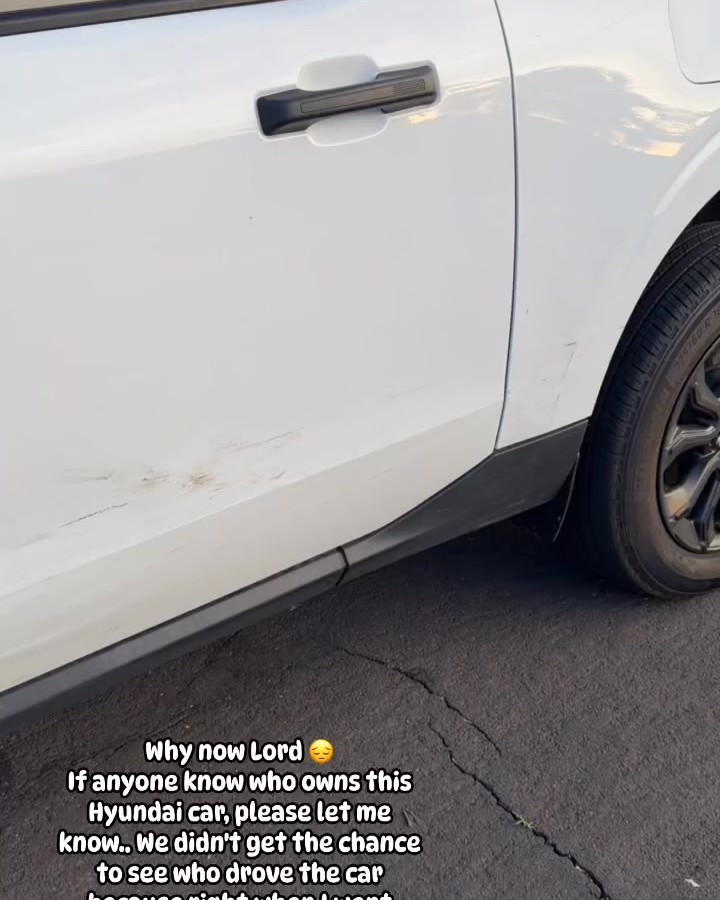HIT AND RUN - Oahu | Stolen Stuff Hawaii