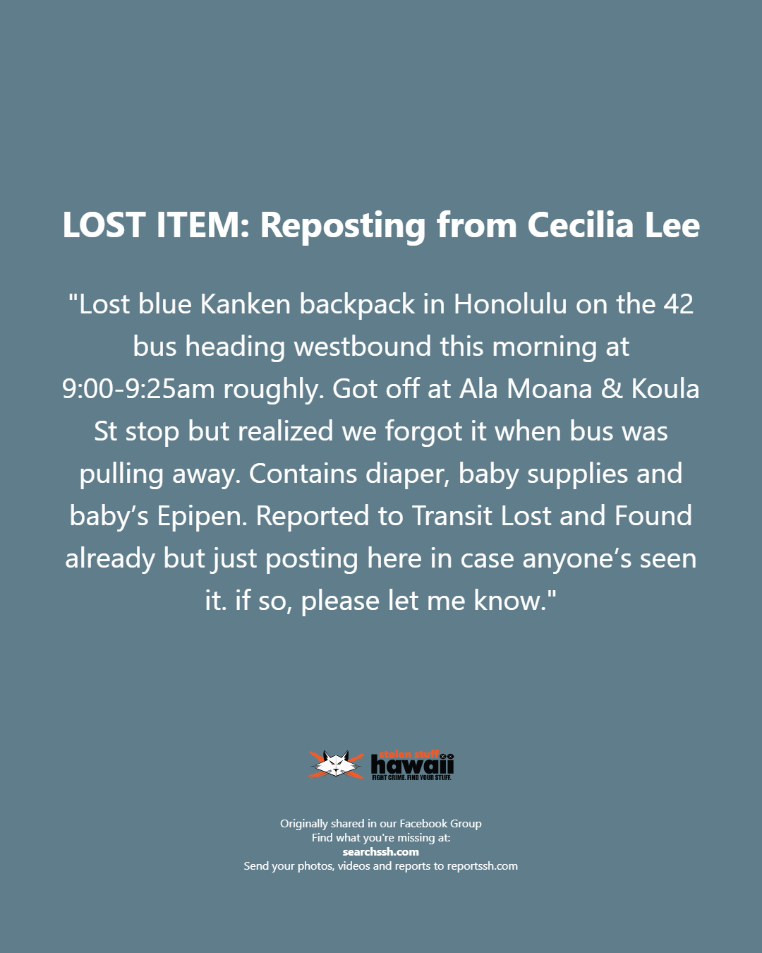 LOST ITEM - Oahu | Stolen Stuff Hawaii