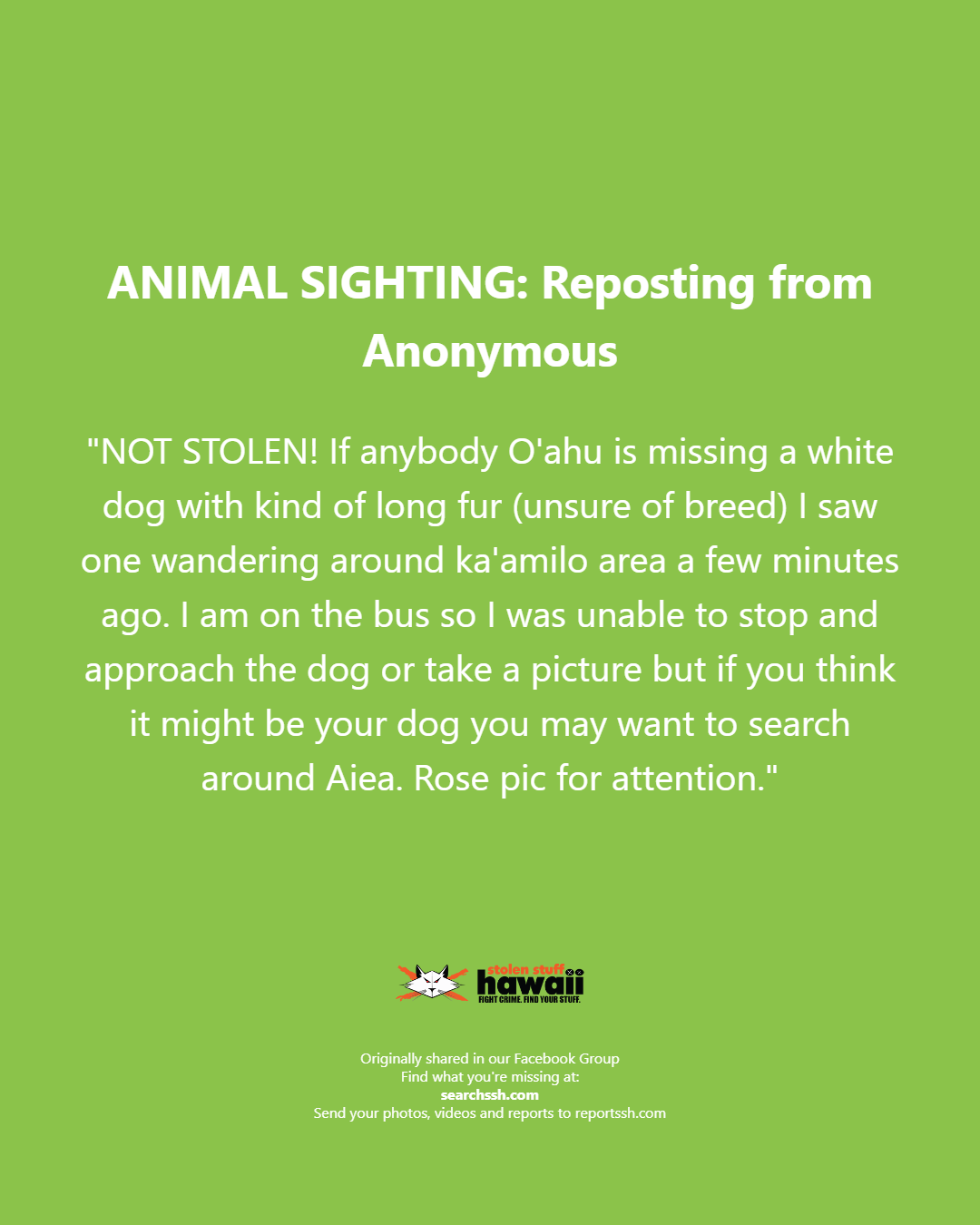 ANIMAL SIGHTING - Oahu | Stolen Stuff Hawaii