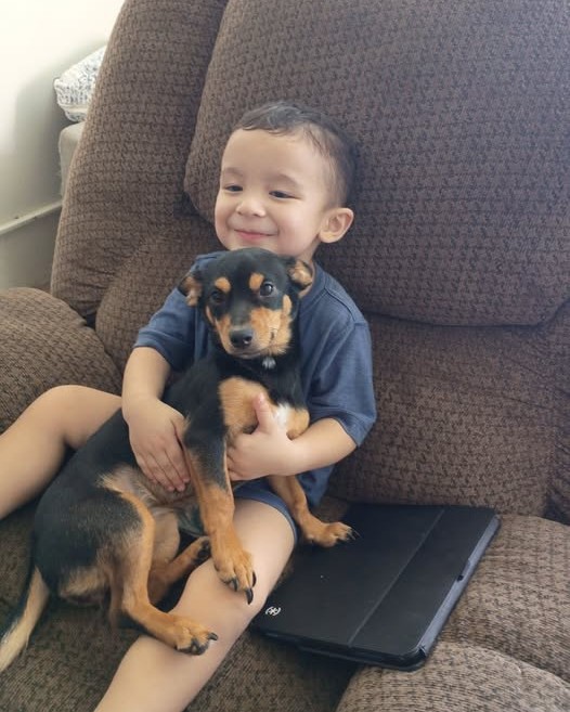 LOST PET - Oahu | Stolen Stuff Hawaii