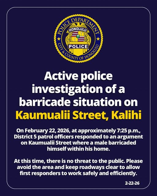 AWARENESS - Kaumualii Street | Stolen Stuff Hawaii