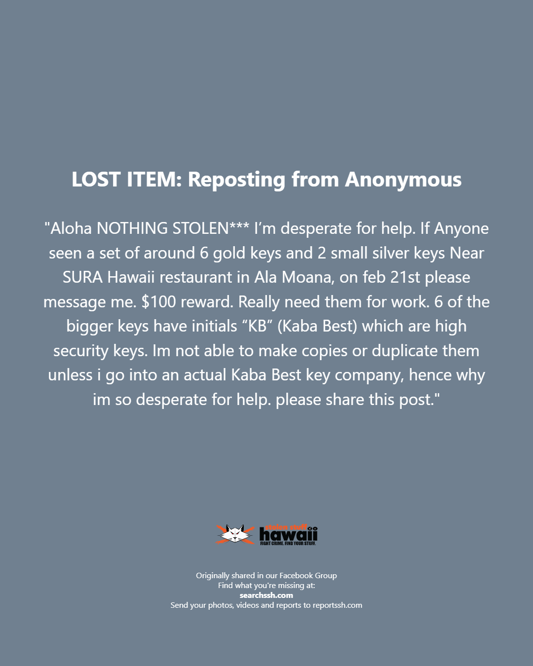 LOST ITEM - Oahu | Stolen Stuff Hawaii