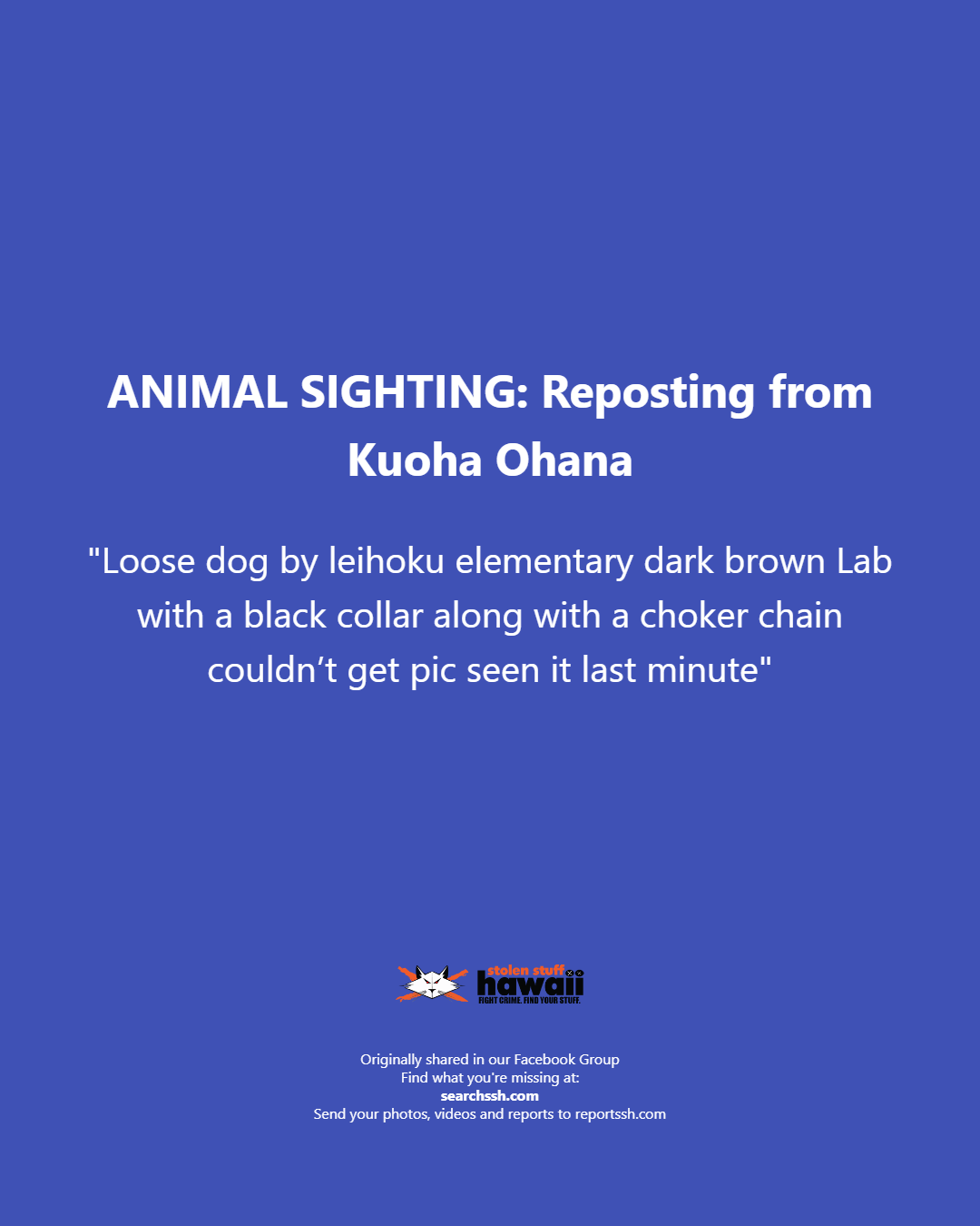 ANIMAL SIGHTING - Oahu | Stolen Stuff Hawaii