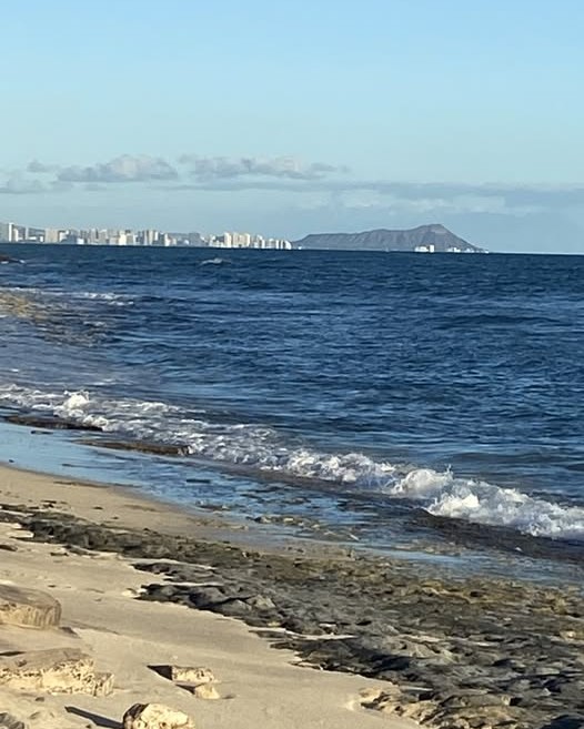 FOUND ITEM - Oahu | Stolen Stuff Hawaii