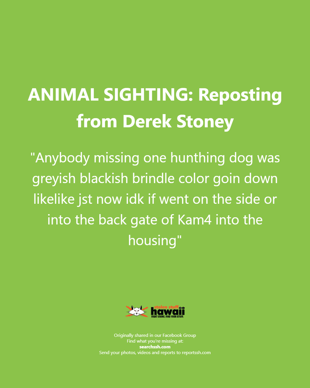 ANIMAL SIGHTING - Oahu | Stolen Stuff Hawaii