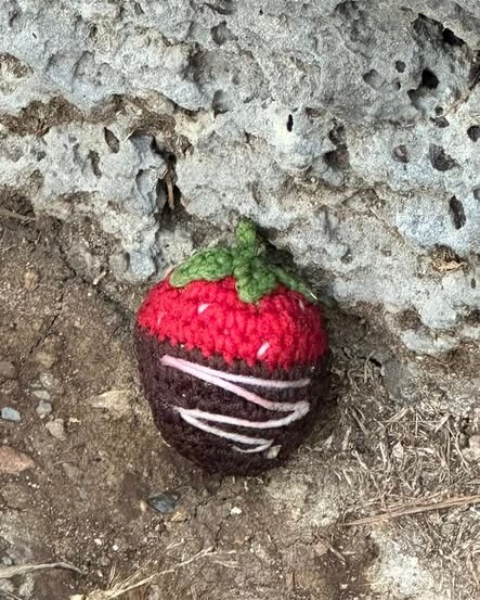 FOUND ITEM - Oahu | Stolen Stuff Hawaii