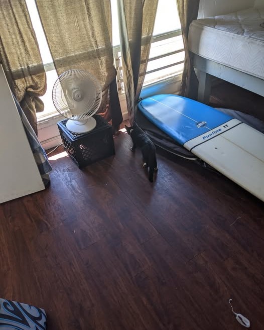 THEFT - Oahu | Stolen Stuff Hawaii