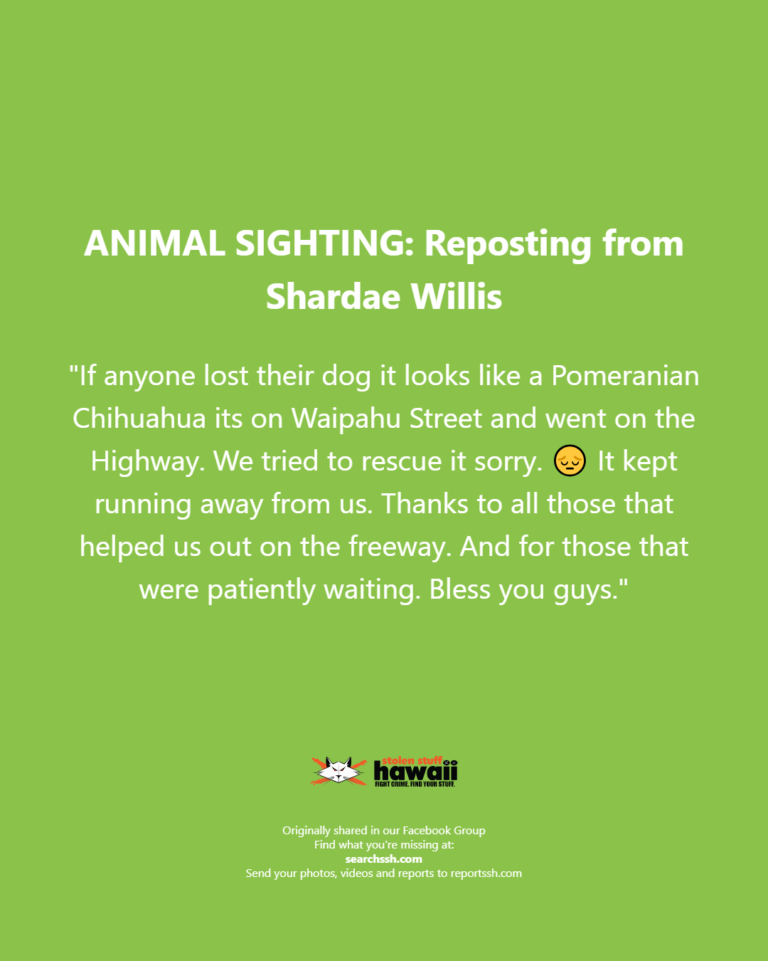 ANIMAL SIGHTING - Oahu | Stolen Stuff Hawaii