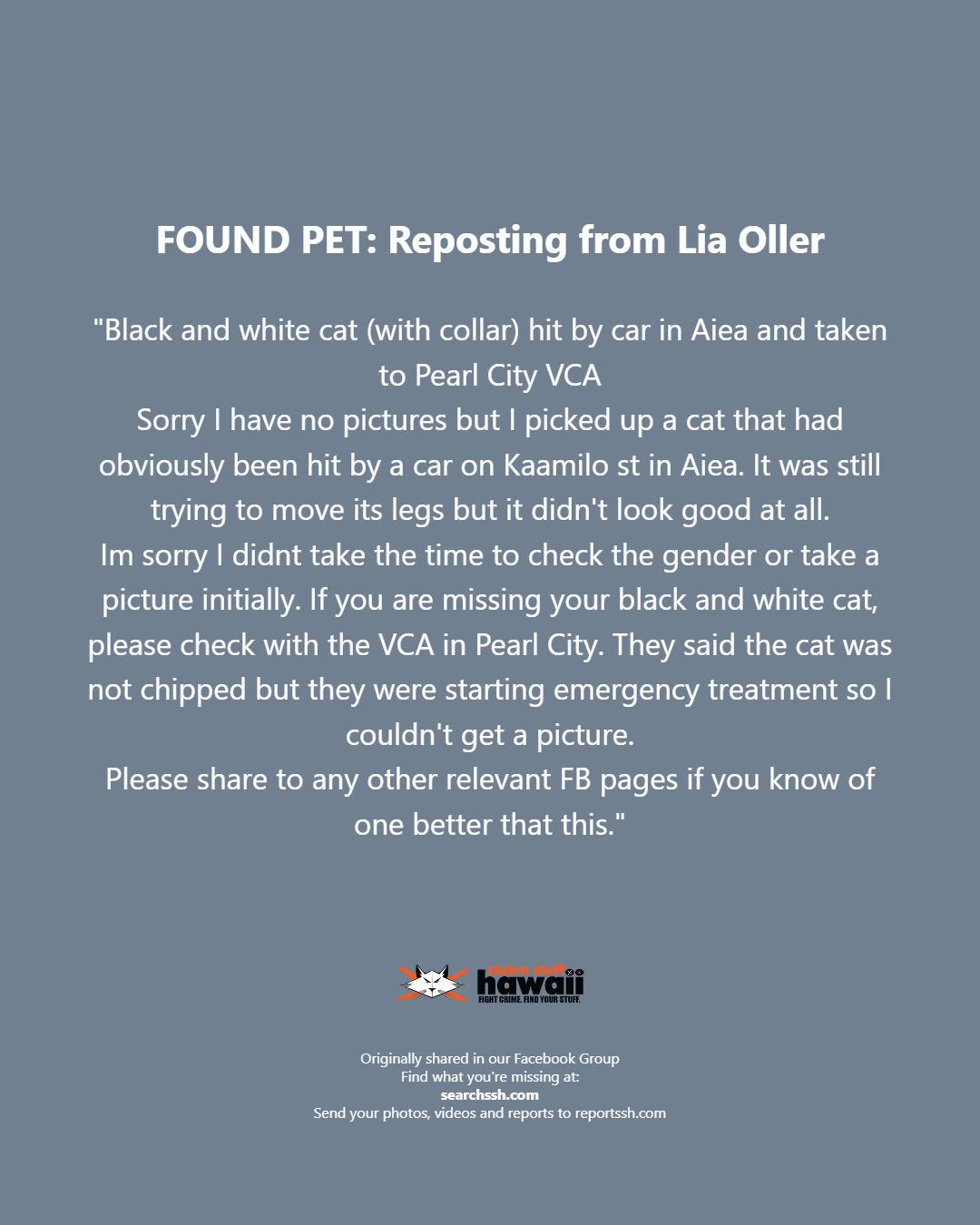FOUND PET - Oahu | Stolen Stuff Hawaii