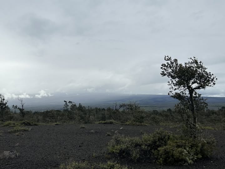WEATHER ALERT - Oahu | Stolen Stuff Hawaii