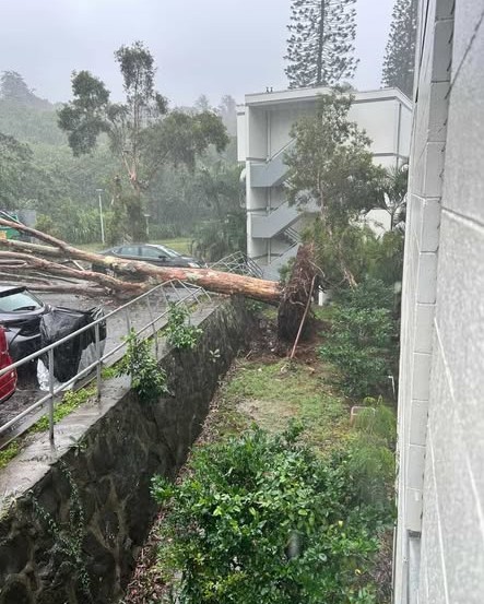 WEATHER ALERT - Oahu | Stolen Stuff Hawaii