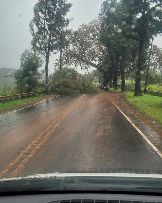 WEATHER ALERT - Oahu | Stolen Stuff Hawaii