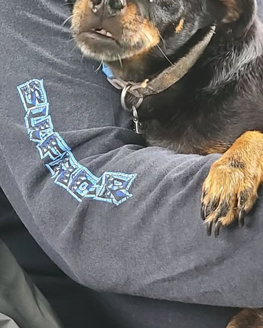 FOUND PET - Oahu | Stolen Stuff Hawaii