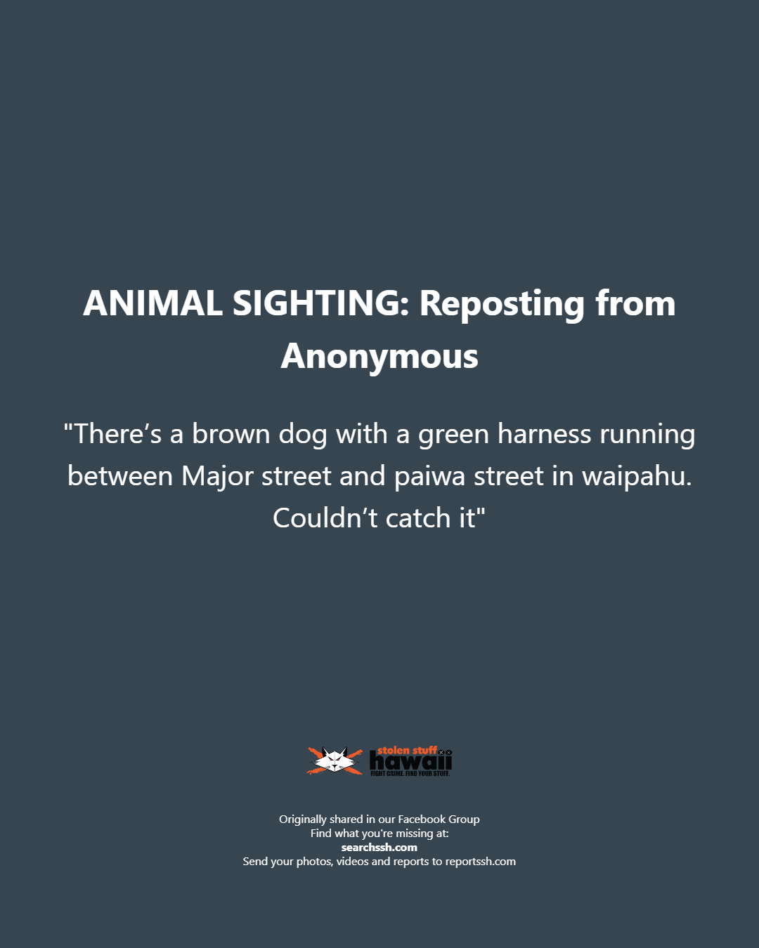 ANIMAL SIGHTING - Oahu | Stolen Stuff Hawaii