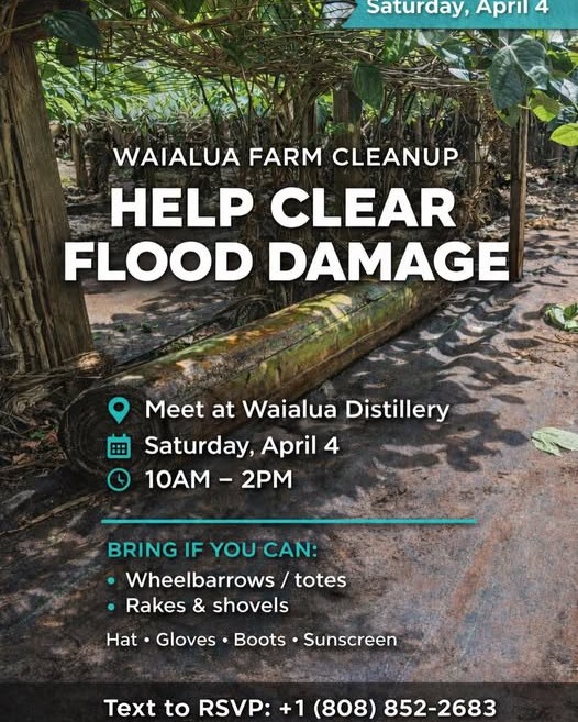 CLEANUP - Oahu | Stolen Stuff Hawaii