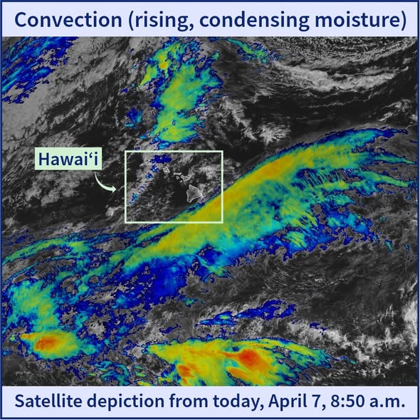 HI-EMA OFFICIAL - Oahu | Stolen Stuff Hawaii