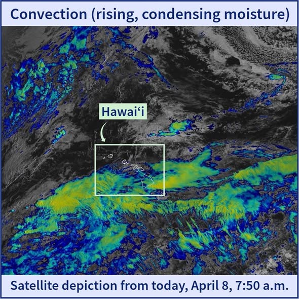 HI-EMA OFFICIAL - Oahu | Stolen Stuff Hawaii
