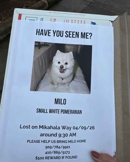 LOST PET - Oahu | Stolen Stuff Hawaii
