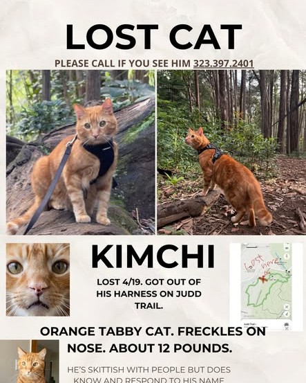 LOST PET - Oahu | Stolen Stuff Hawaii