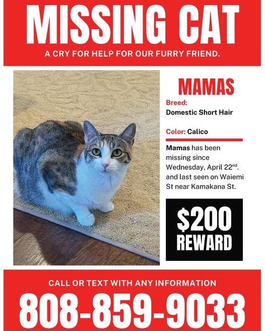 LOST PET - Oahu | Stolen Stuff Hawaii