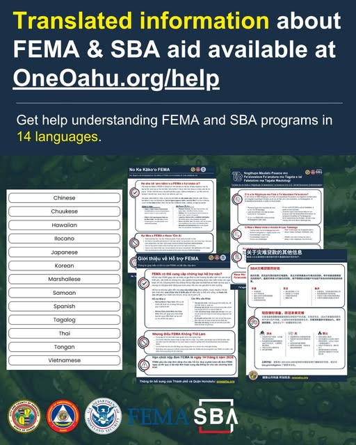 DEM OFFICIAL - Oahu | Stolen Stuff Hawaii