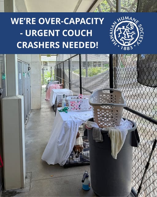 ANNOUNCEMENT - Oahu | Stolen Stuff Hawaii
