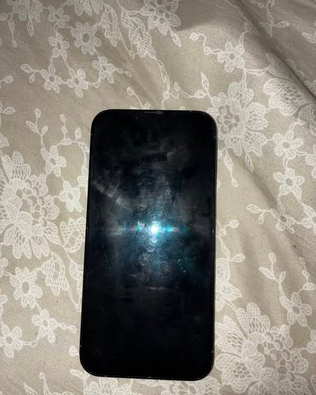 FOUND ITEM - Oahu | Stolen Stuff Hawaii