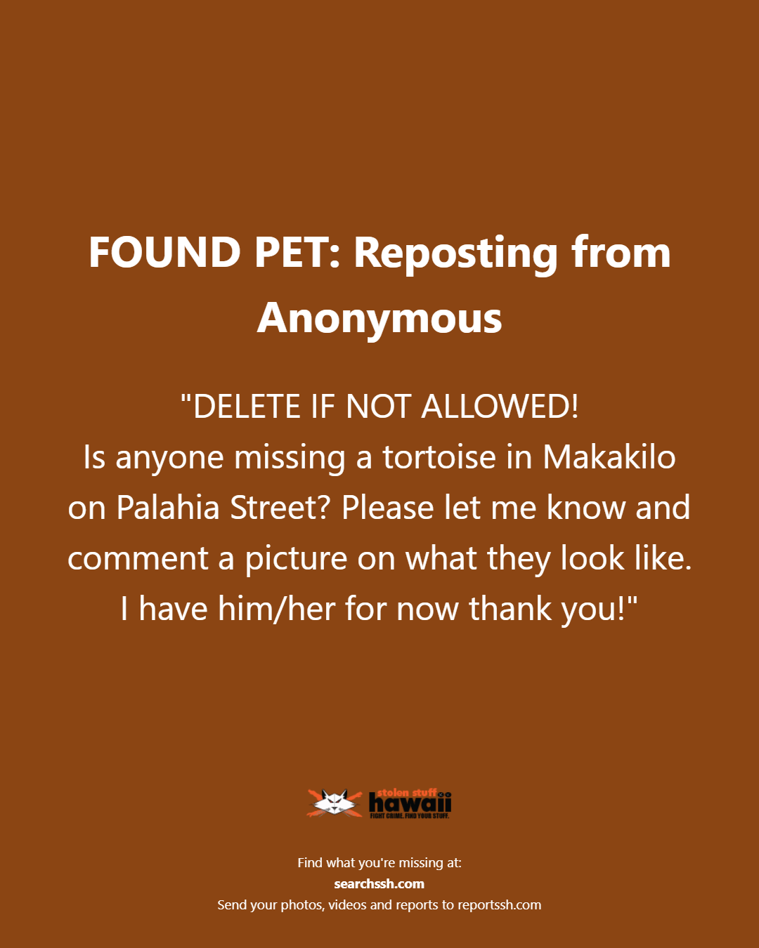 FOUND PET - Oahu | Stolen Stuff Hawaii