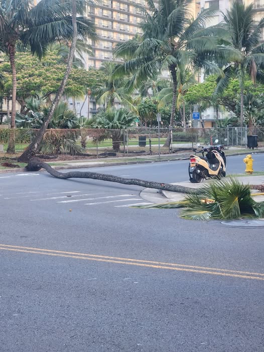 TRAFFIC INCIDENT - Oahu | Stolen Stuff Hawaii