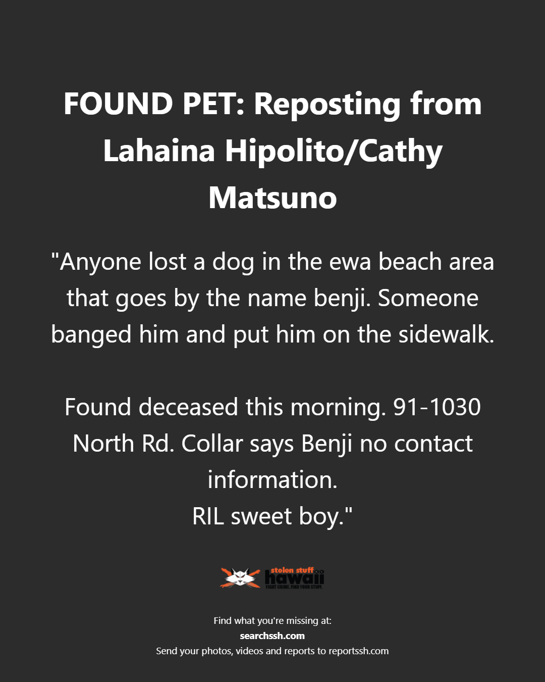 FOUND PET - Oahu | Stolen Stuff Hawaii