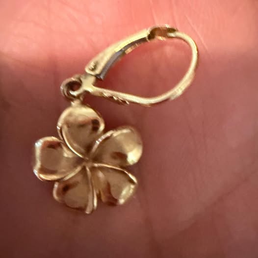 LOST ITEM - Oahu | Stolen Stuff Hawaii
