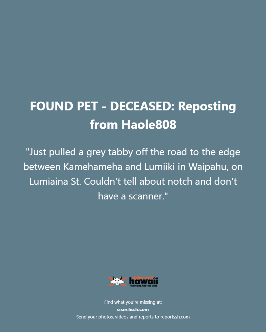 FOUND PET - Oahu | Stolen Stuff Hawaii