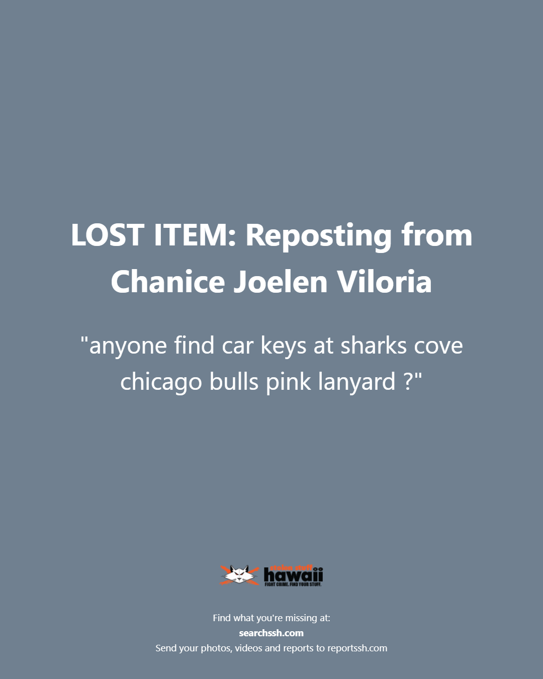 LOST ITEM - Oahu | Stolen Stuff Hawaii