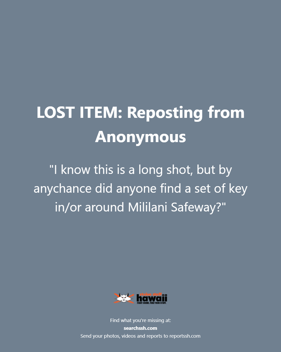 LOST ITEM - Oahu | Stolen Stuff Hawaii