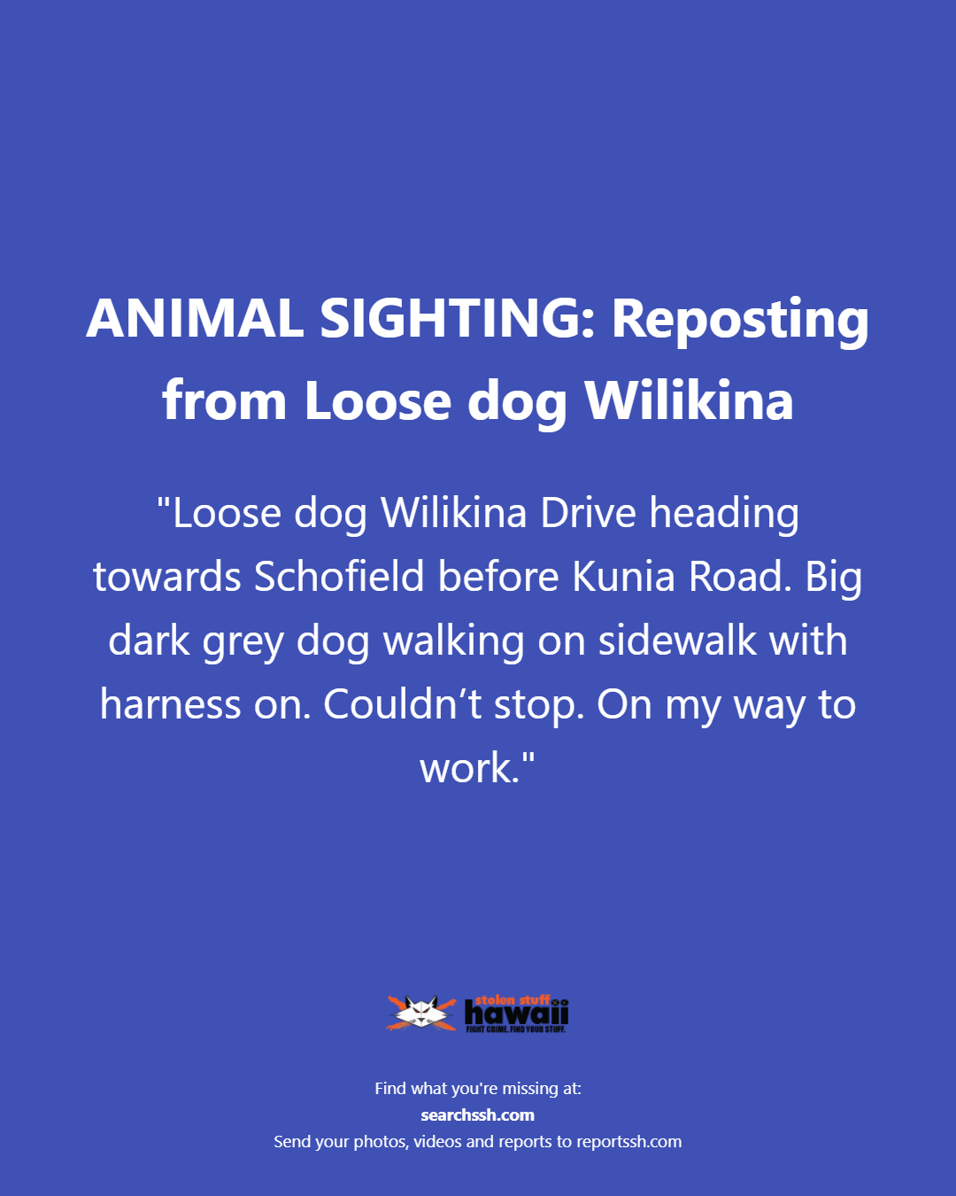 ANIMAL SIGHTING - Oahu | Stolen Stuff Hawaii
