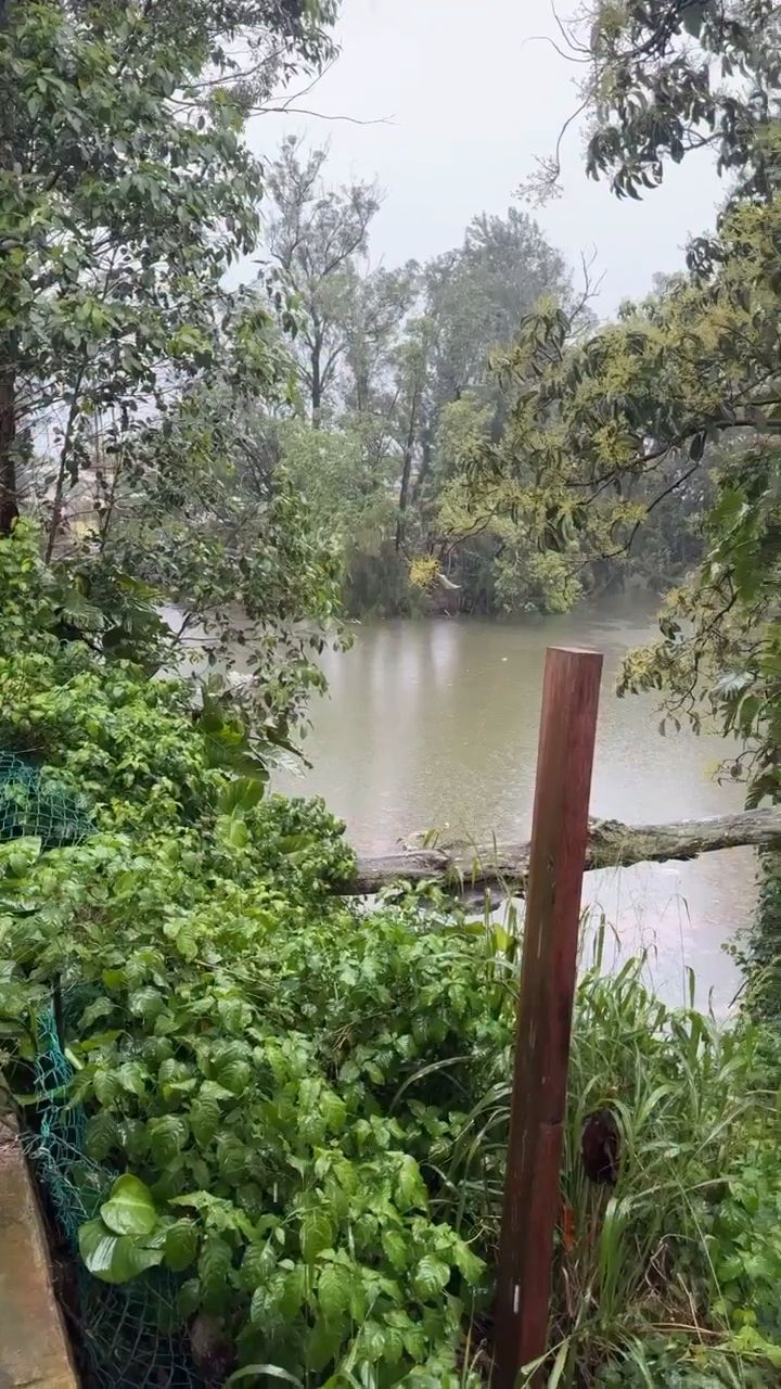 WEATHER ALERT - Oahu | Stolen Stuff Hawaii